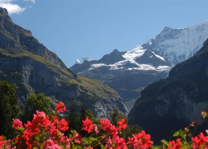 فيرنفونونغ أوف دكتور ليوي *