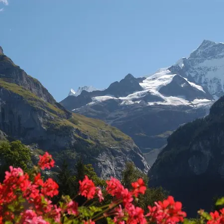 페리엔보눙 우프 닥터 리비 *